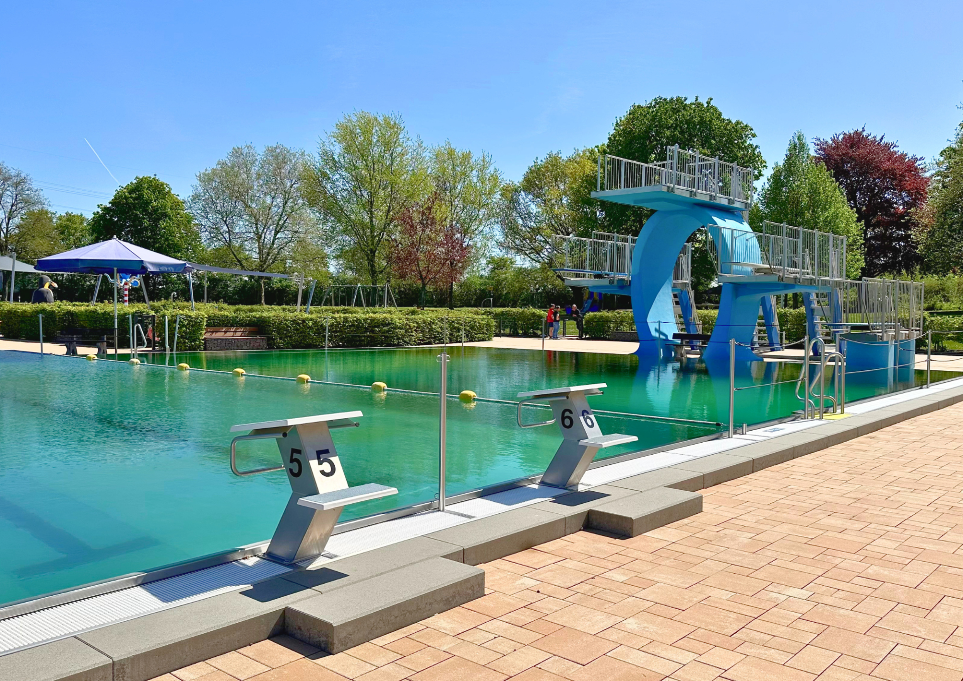 Pressefoto_Frühschwimmen_Freibad Andernach  - 1
