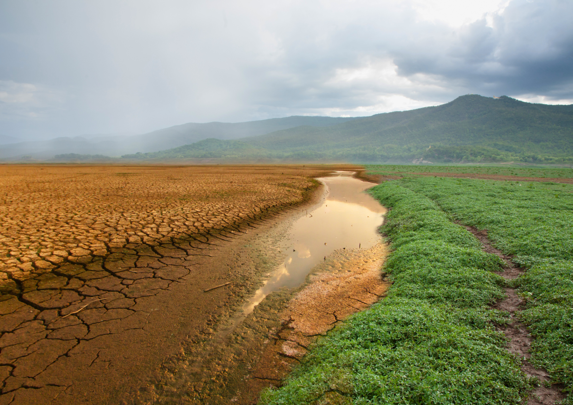 Info-Veranstaltung: Klimaschutz und Klimaanpassung - 1