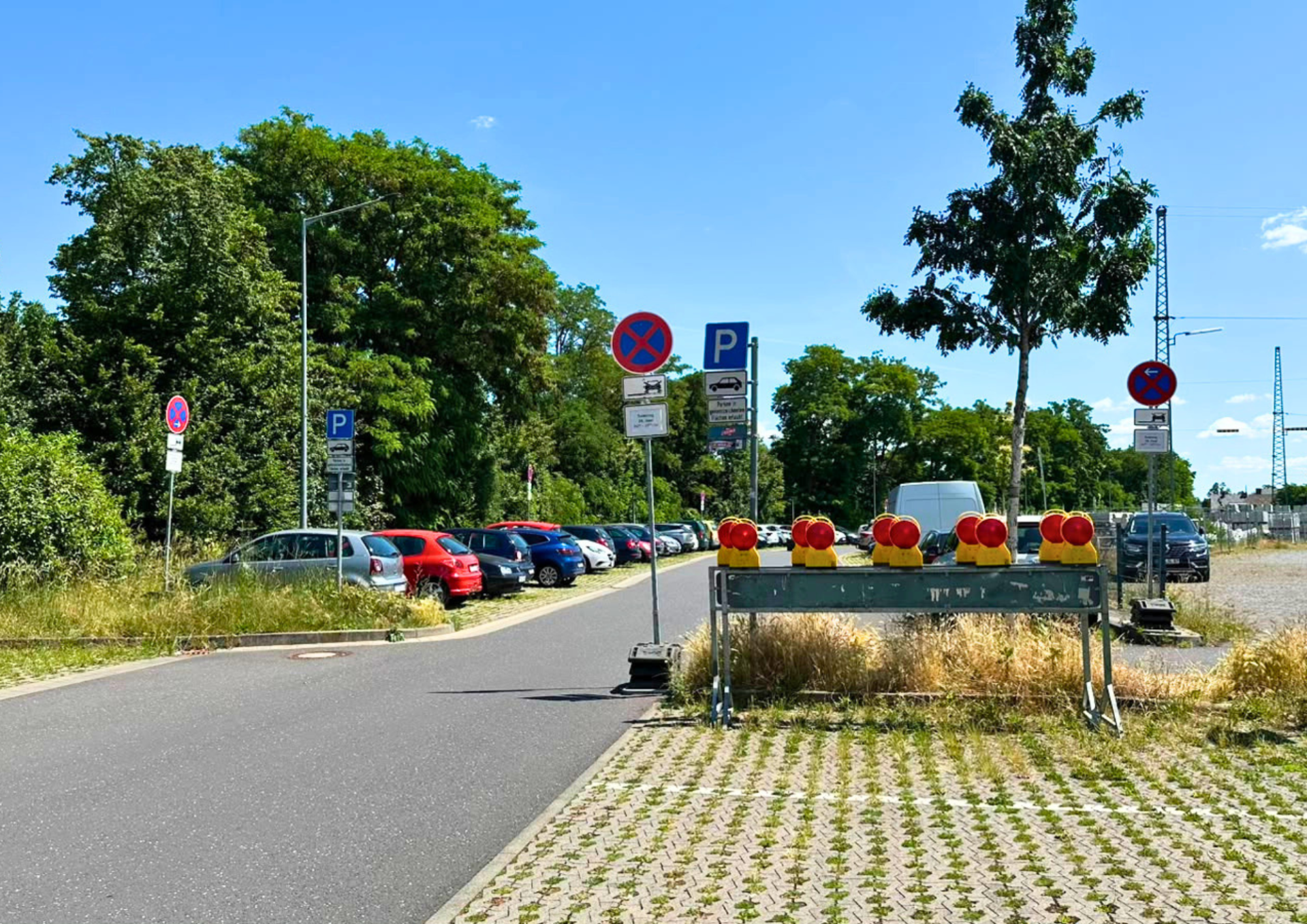 Kopie von Pressefoto_Frühschwimmen_Freibad Andernach  - 1